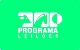 leiloes